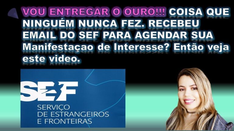 Portal SAPA SEF: Acesso Rápido e Eficiente aos Serviços Públicos