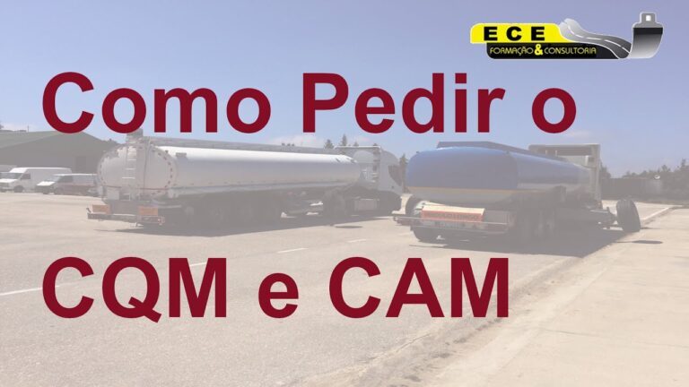 Contato IMTT: Tudo que Você Precisa Saber