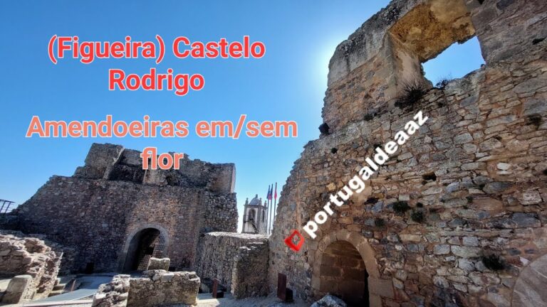 Descubra o Mapa de Figueira de Castelo Rodrigo