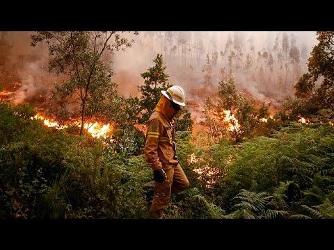 Mapa de Incêndios em Portugal: Análise e Prevenção