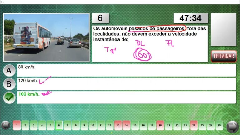 O Automóvel Ligeiro Deve Ser Sustentável?