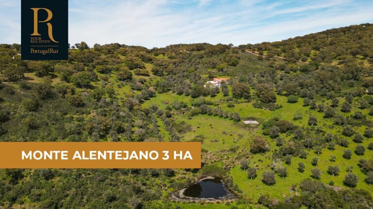 Casas à Venda em Évora: Oportunidades Imperdíveis