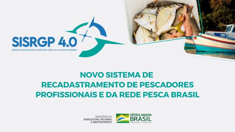 Entendendo a Portaria 701 H de 2008: Impactos e Aplicações
