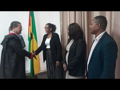 O Papel do Tribunal Constitucional Português na Defesa dos Direitos Fundamentais